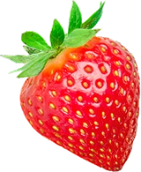 Fresa